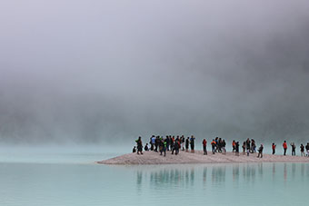 Tourists and tourist groups